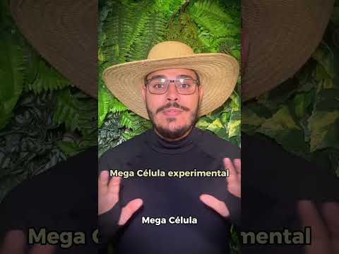 Marcelo Cantão apresenta a pergunta 07/100: Precisamos começar construindo uma cidade inteira?