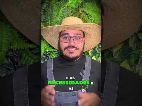 Marcelo Cantão apresenta a pergunta 19/100: Onde ficam o lazer e as áreas verdes?
